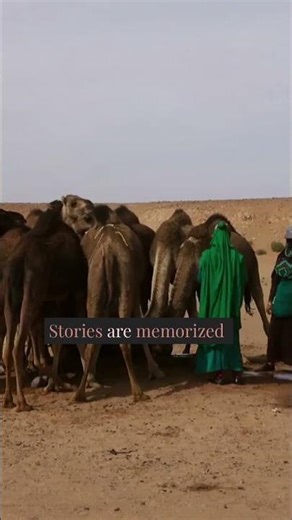 The Tuareg: The Men Who Veil Their Faces.