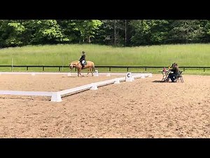 Working Equitation USAWE Novice B dressage test with Fina