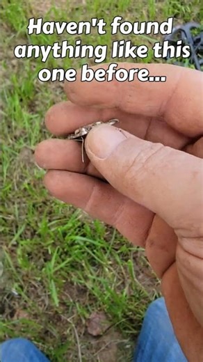 Good luck, bad luck? What the heck is this #metaldetecting find, and what does it mean?