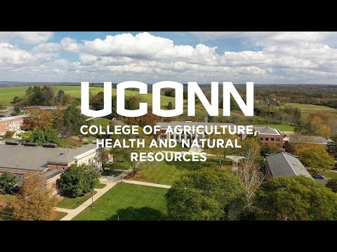 UConn College of Agriculture, Health and Natural Resources (CAHNR)