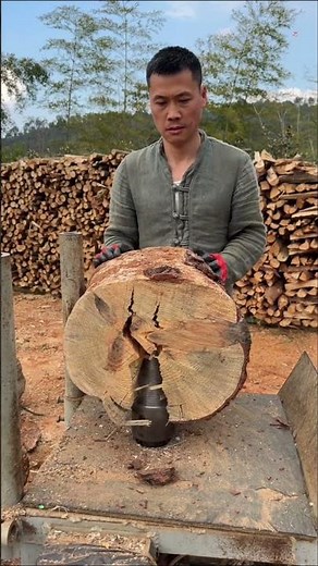 Best Wood Splitter Machine 2026 | Full Demo & Review