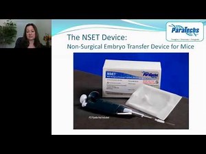 Barbara Stone - The Future of Mouse Embryo Transfer Achieving the 3Rs with the NSET Device