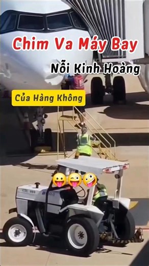 Bird Collision - The Horror of World Aviation #shortvideo #hudson #plane