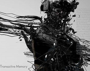 The Rookies - Transactive Memory, by weizhang