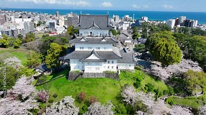 Aerial view of historic Japanese castle in spring with cherry blossom, Odawara samurai castle in Japan, tourism in Japan, Japanese culture and history