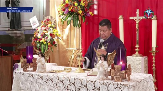 SANTA MISA | Desde la Parroquia Señor de la Ascensión, Malpaso, Zacatecas, México. Fecha de Transmisión: 02 de Diciembre 2025 MARÍA VISIÓN ®, M V MARÍA VISIÓN ® MARÍA VISIÓN LUZ CATÓLICA ® LUZ CATÓLICA ® TONANTILI ® "SINFONÍA CELESTIAL MARÍA VISIÓN" ® MARÍA MISIÓN® LOGOS Y DISEÑOS, PROGRAMAS DE RADIO Y TELEVISIÓN, SON OBRAS PROTEGIDAS D.R. © MARCAS Y DISEÑOS REGISTRADOS® LICENCIADOS A DIVERSAS PERSONAS JURÍDICAS EN MÉXICO Y A NIVEL INTERNACIONAL MÉXICO. 2001-2025 TODOS LOS DERECHOS RESERVADOS PR