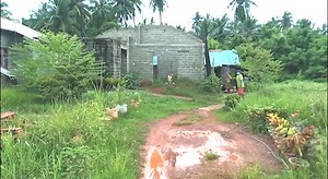 88 reactions · 117 shares | Multiple incidents related to leaking gas cylinders have been reported from several parts of the country today, despite attempts by the Government to play down the issue | Daily Mirror | Facebook