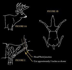 Shoulder mount instructions for preparation in the field
