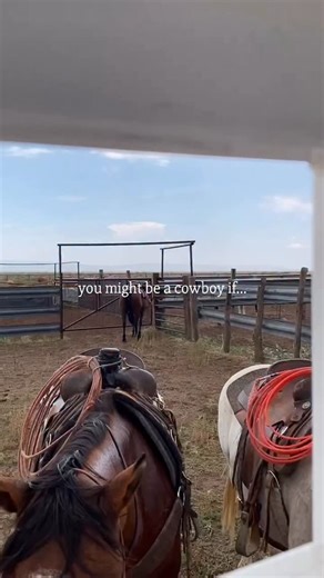 36K views · 3.1K reactions | Your trailer doubles as a break room and emergency rain shelter.  Hey, when the work is tough, you need functional equipment that is tougher. ‼️ We build our ranch-tough trailers with your lifestyle in mind. Explore the link in our bio to learn more. #rancher #ranchlife #ranching #ranch #cattle #western #cowboys #cowboy #cowgirl #cowpoke #trailers #trailer #agriculture #bluecollar | Big Bend Trailers | Facebook