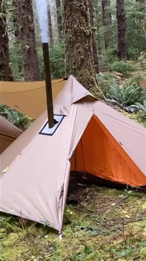 Rainforest tent stove camp 🏕️ #tentcamping #3wstove #forestcamping