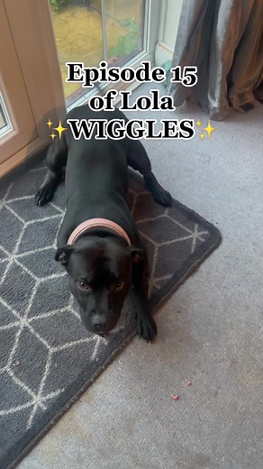 Lola wiggles in Episode 15 - Sparkling Return of the Wiggles!