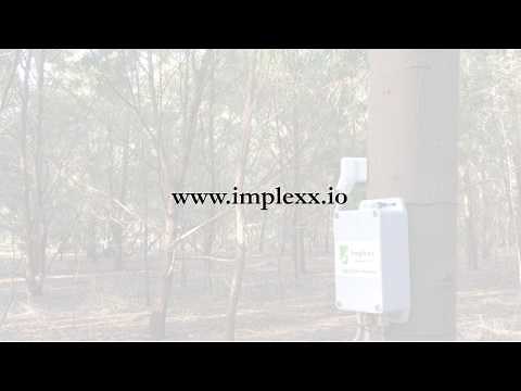 Sap Flow Sensor Installation