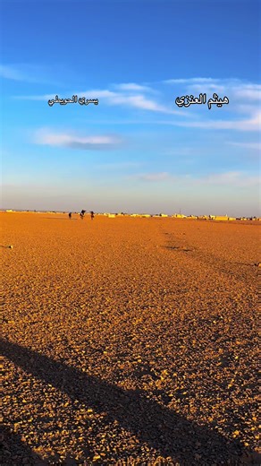 #خيل_وخياله🐎 #ماشاءالله_تبارك_الله # #@هيثم العنزي 🐆🇸🇦 #الشعب_الصيني_ماله_حل😂😂