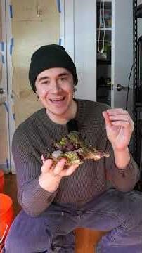 weirdest animal I own