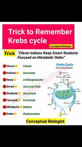 Trick to remember the steps of Kreb cycle 🔥| Kreb cycle 💥 #fblifestyle #krebscycle #tricks #biology #education . . . Follow Conceptual Biologist for More 🥰 | Conceptual Biologist