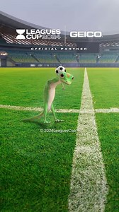 GEICO can help with all your insurance needs — through our app, on the phone, or with an agent. | GEICO