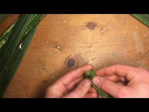 How to weave a yucca cool basket