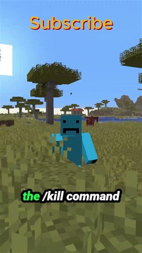 How To Survive The /Kill Command in Minecraft???
