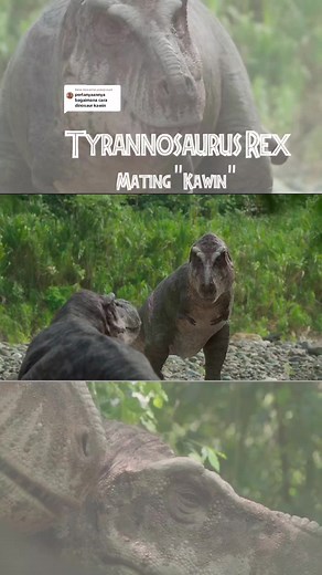Membalas @pakoji.mp4 A clip from Prehistoric Planet that showed us how Tyrannosaurus Rex mating (Kawin). #Trex #tyrannosaurus #dinosaur #facts #prehistoric #prehistoricplanet #animal #fyp #dinosaurus🦖