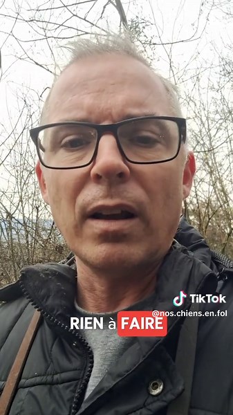 Choisir l'adoption d'un chiot : éleveur sérieux ou salon ?