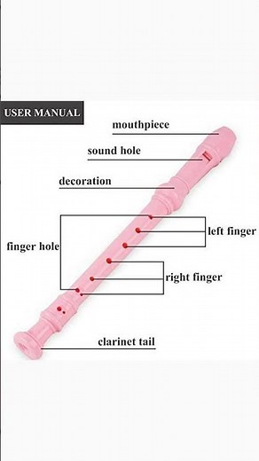 Discover Your Musical Talent with the Jasenna Recorder!