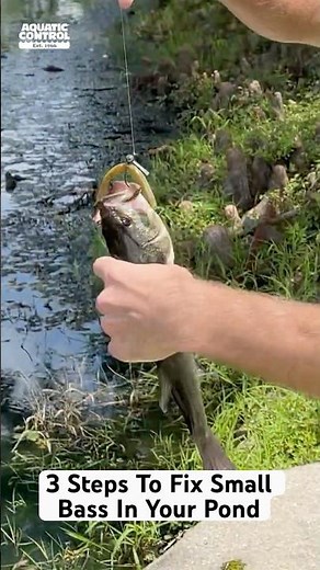 Why Your Largemouth Bass Stopped Growing (And How to Fix It!) 🎣