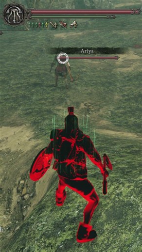 Out of stamina there, buddy? #PvP #Invader #Darksouls #Darksouls2
