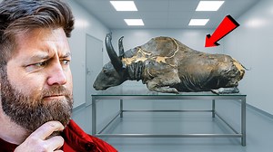 5 More Prehistoric Animals Found Frozen in Ice | Forrest Galante