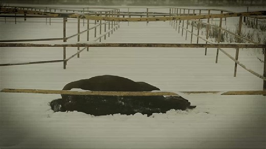 6.9K views · 165 reactions | As a Colorado farmer anxiously seeks explanations for why his animals are dying, Chuck and Heather look to find answers. #AlienHighway | Love Space | Facebook