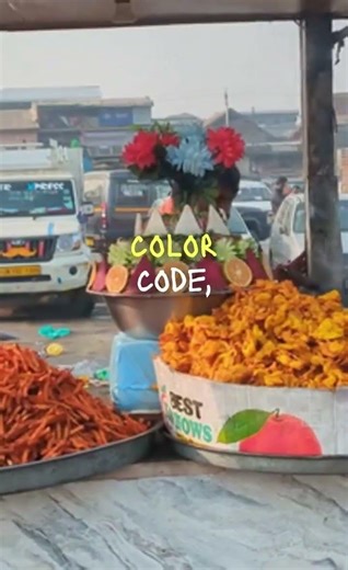 No GPS. No Apps. No Mistakes. 😲 #facts #shorts