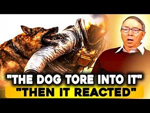 Classified UFO Incident: Military Dog Attacks Extraterrestrial Being | Richard Doty