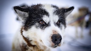 Episode 3 Preview | Human Footprint