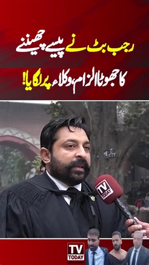 Understanding the Role of Lawyers in Legal Matters