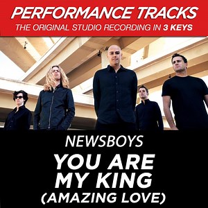 You Are My King (Amazing Love) - Newsboys: Song Lyrics, Music Videos & Concerts