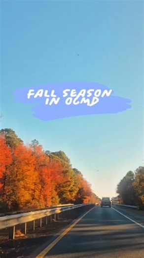 The drive into Ocean City feels extra special this time of year. The gorgeous Fall colors are HERE! 🍂 Go right to the Ocean for the full, relaxed experience. Book today to SAVE 🤑 | Carousel Resort Hotel & Condominiums