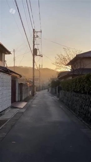 A quiet Japanese residential street at sunrise. Soft golden light and gentle morning silence. No people. Just atmosphere. #Japan #QuietMoments #JapaneseStreets #JapanVibes #CinematicJapan