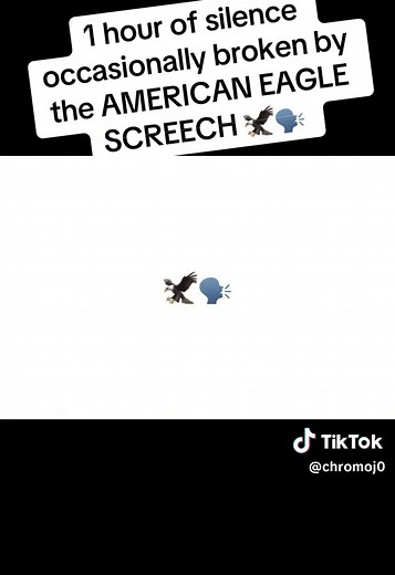 American Eagle Screech Compilation