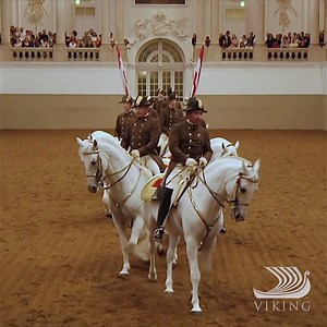 1.4K reactions · 352 shares | Saddle up for this guest-favorite...