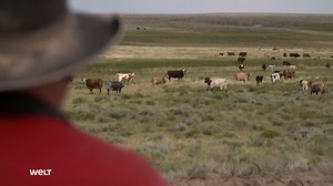 8.3K views · 38 reactions | Welt der Cowboys – Mythos und Realität: Diese faszinierende Reportage zeigt euch amerikanische Rancher, Pferdezüchter und Rodeo-Stars, deren Lebensstil an die alte Welt des Wilden Westens erinnert. | WELT | Facebook