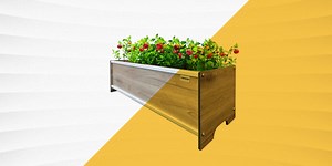 The Best Raised Garden Beds for Happy Plants and Bountiful Harvests