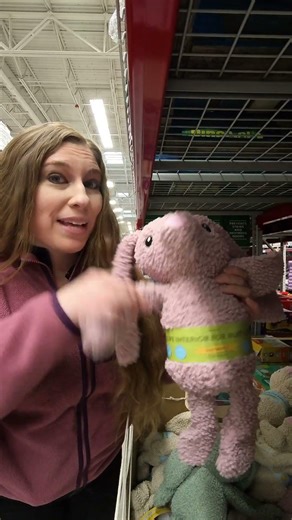 Dog Birthday Gift At Sam's Club