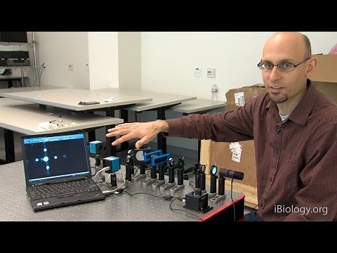 Microscopy: Abbe Diffraction (Kurt Thorn)