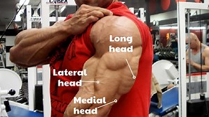 10 Lateral Head Triceps Exercises (With Workout Plan)