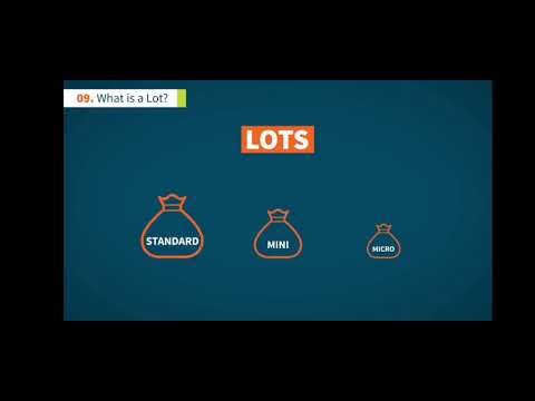 What is LOT in forex.?
