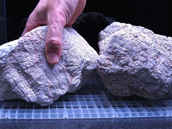 我做了简单的水族馆，任何人都可以建立|一步一步的AQUASCAPING教程