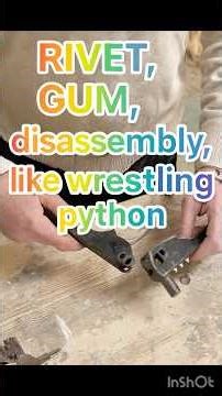 🎬 Rivet Gun Disassembly – Like Wrestling a Python! #youtube #automobile #youtuber #clampers