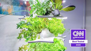 Best hydroponic indoor gardens in 2026, tried and tested | CNN Underscored