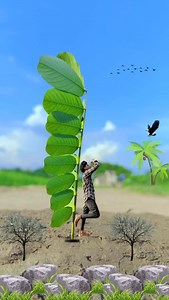 81K views · 529 reactions | Creative videography idea lvideo #creative #everyone #teel #reel #facebookpost #viralvideochallenge #shorts #shortsvideo #viral #facts #facts #viralreelsシ #bhojpuri #videoviral #trending #facebookreel #reelsfypシ #short #cute #reelsfbシ #facebookviral #virel #reelsviralシ #viralvideoシ | Creative videography | Facebook