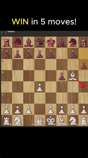 WIN in 5 moves! #chess #challenge #motivation #checkmate