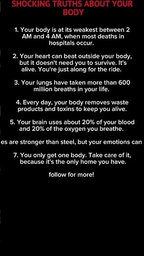 7 Amazing Facts About the Human Body 🧠💪